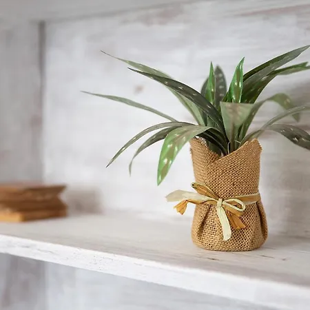 El Mar Sea View * Cotillo