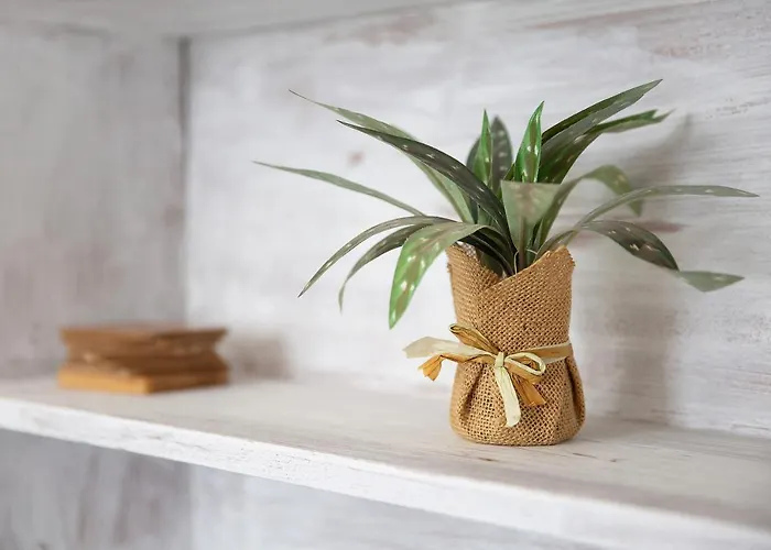 El Mar Sea View * Cotillo